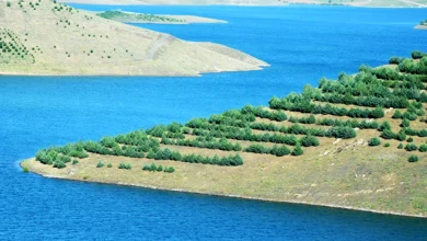 کردستان